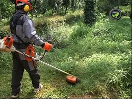 Weed Cutter
